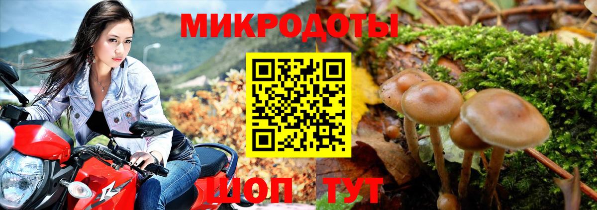 Псилоцибиновые грибы Magic Shrooms  Галлюциногенные грибы Psilocybe  Омск  купить закладку  Вход с VPN 